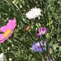 Blends to support environmental stewardship schemes