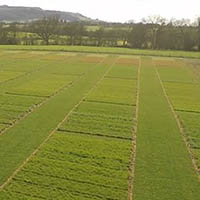 A view from Cropvale October 2017