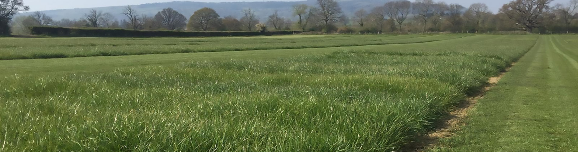 For best results, use grass