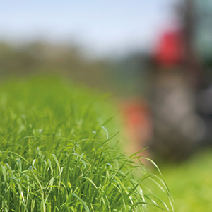 View Your Future Grass with Barenbrug