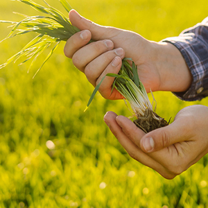 It doesn’t stop with indexing