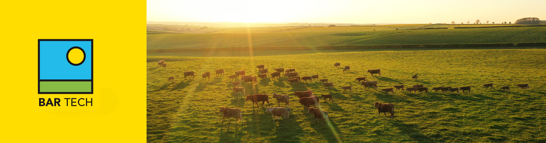 BarTech - April 2021 - Spring grassland