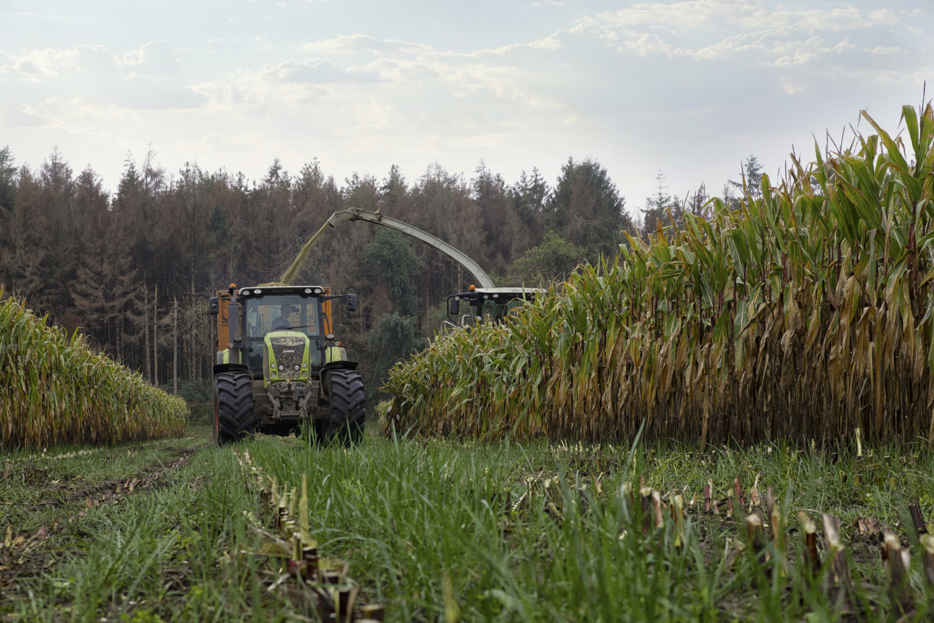 Meet the Agriculture team