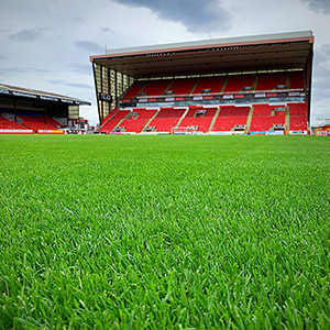 Barenbrug Grass Seed Is a Major Player at Aberdeen Football Club