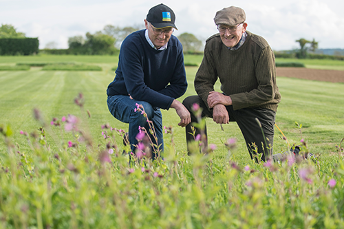 Latest Updates from Barenbrug Agriculture