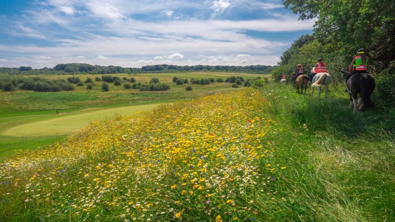 Barenbrug’s leading blend assists Farleigh Course