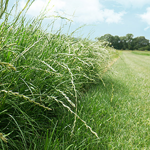 Killylea & Tollymore promise performance ‘above the standard’ for local farmers