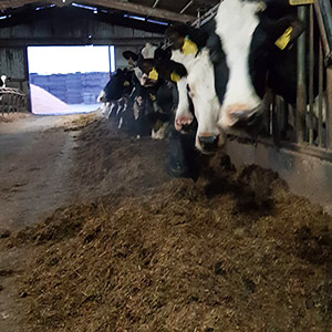 Longlea Farm Soil sampling Grass Into Gold