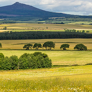 Farming in Scotland
