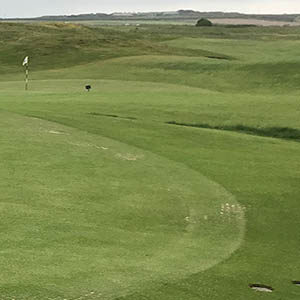 Ryegrass on the greens takes Trevose golf course to a hole new level