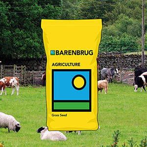 It's all in the bag!