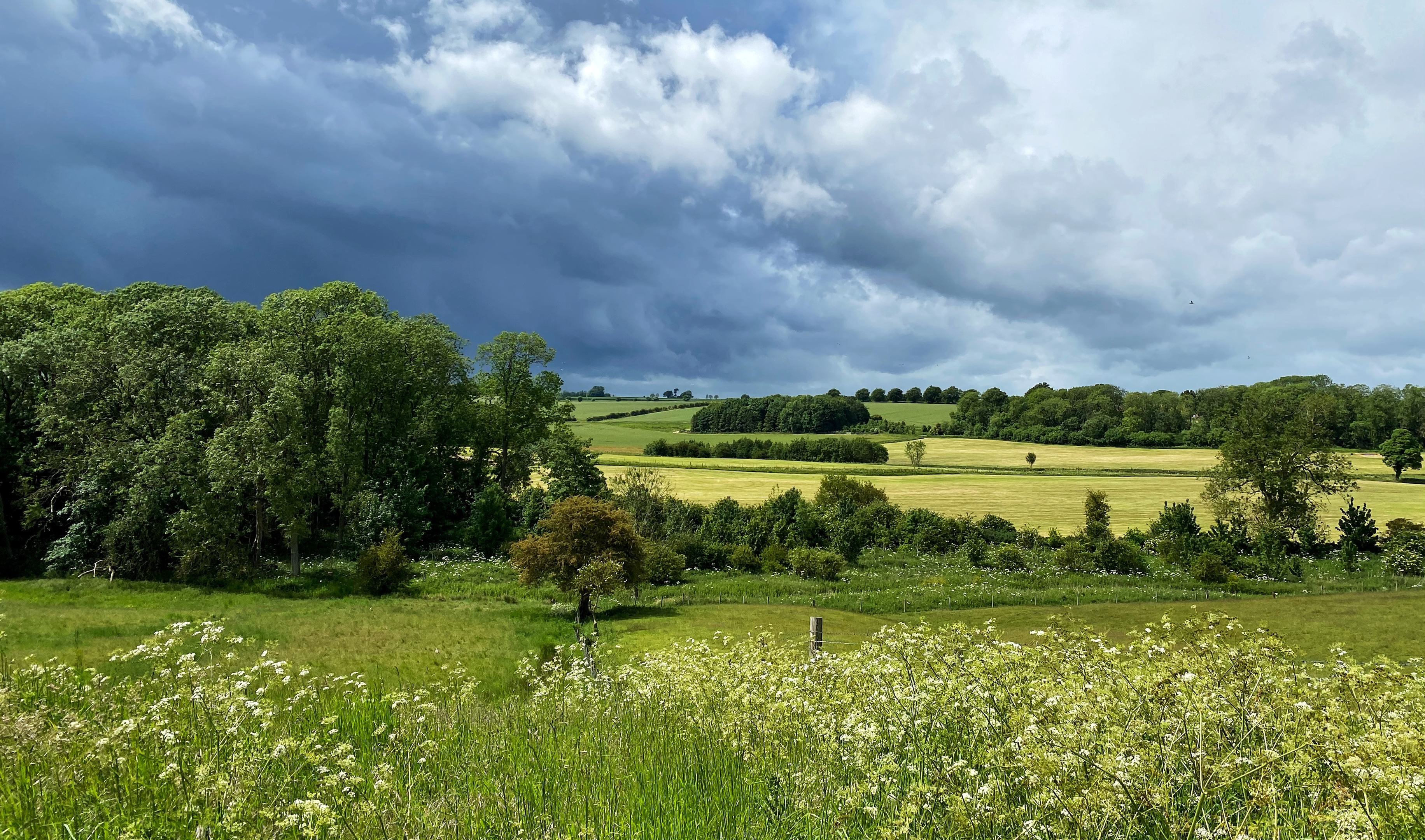 Grass and herbal leys: a strategic, sustainable choice for UK farmers