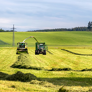 First Cut Silage Strategy: Why Patience Pays Off