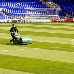 Ipswich Town excited about new Barenbrug Seed Varieties