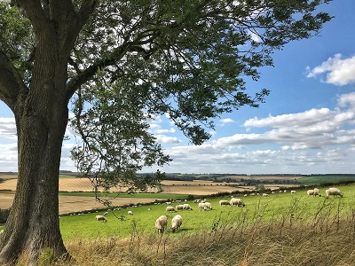 February BarTech Barenbrug UK Grass Experts