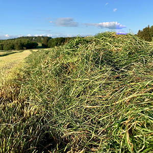 Making quality grass silage