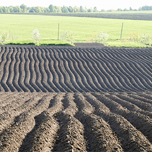 Bar Tech - February 2020 - Soil Focus