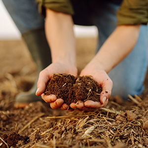 Why you should REALLY know your soil
