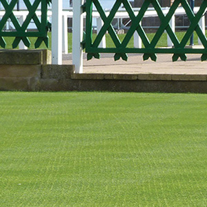 Bank on Browntop for Sustainable Overseeding