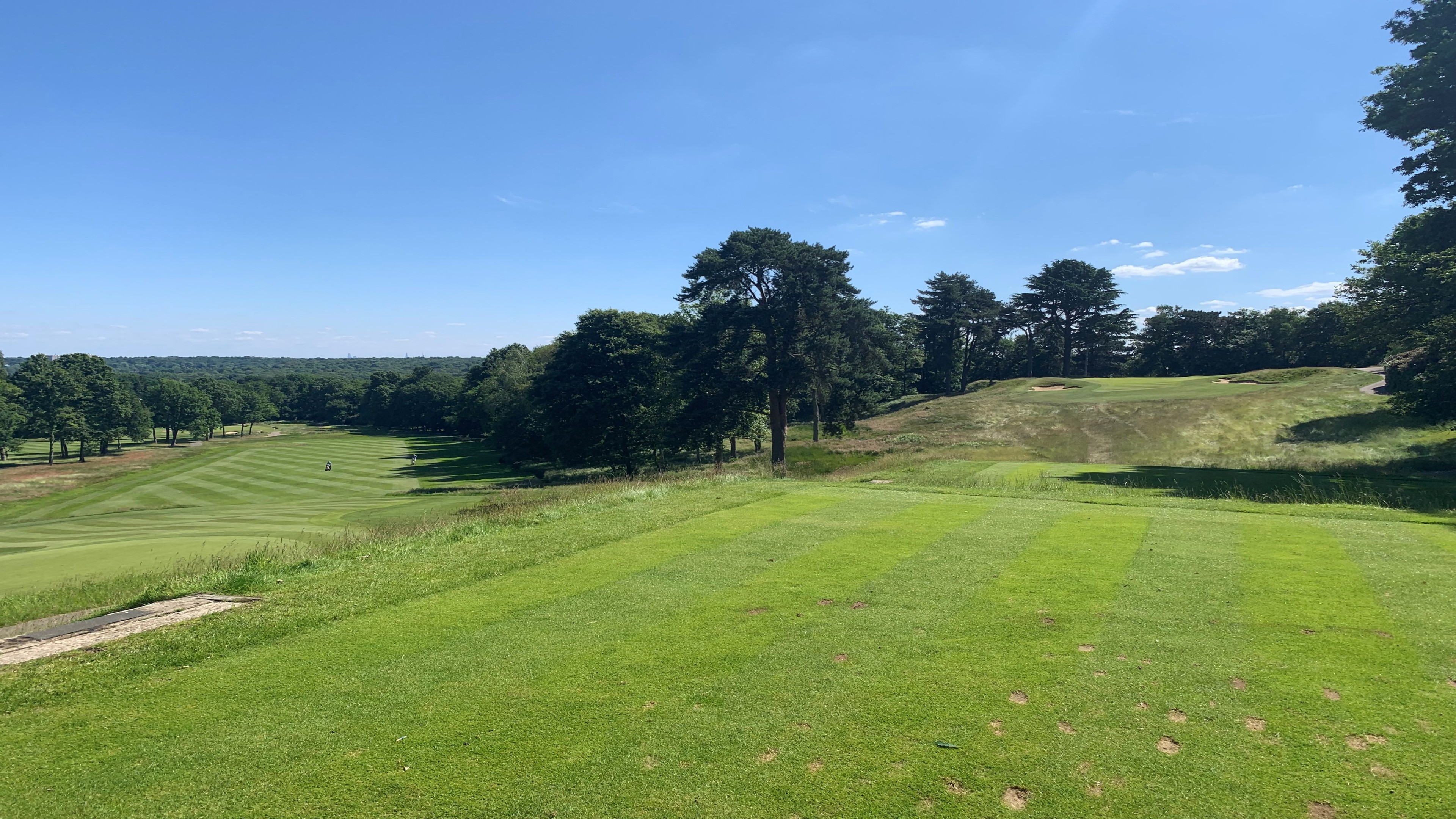 Coombe Hill always elects Barenbrug’s seed range