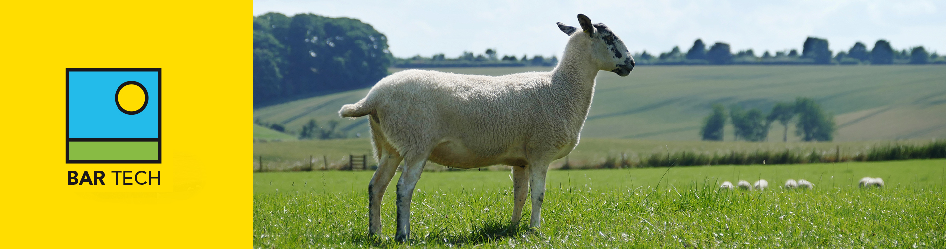 grassland management advice