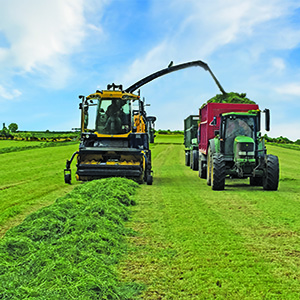 Go Softly for the First Silage Cut