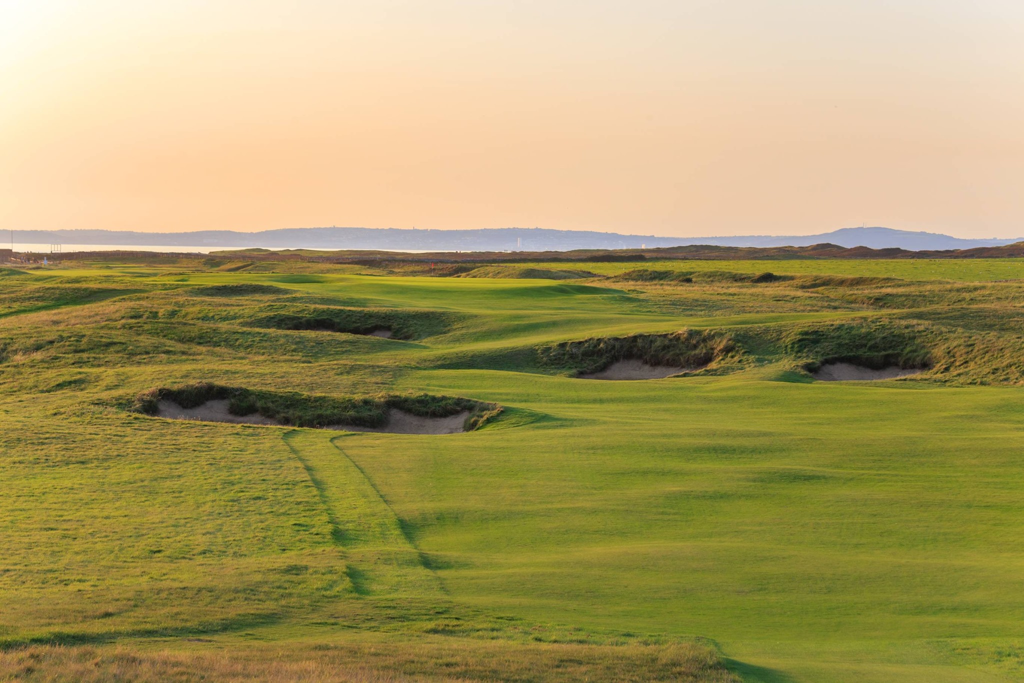 SGT Fine Fescue Triumphs in Drought