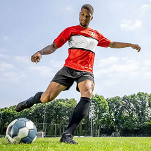 New top ten variety Baradona