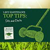 Top Tips on Maintaining your Lawn