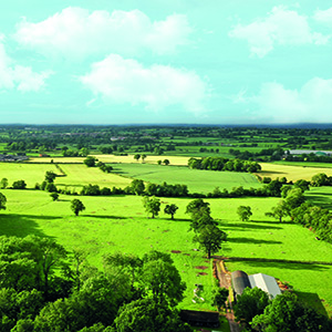 Time to update your grass?