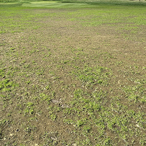 Recovery from Flooding